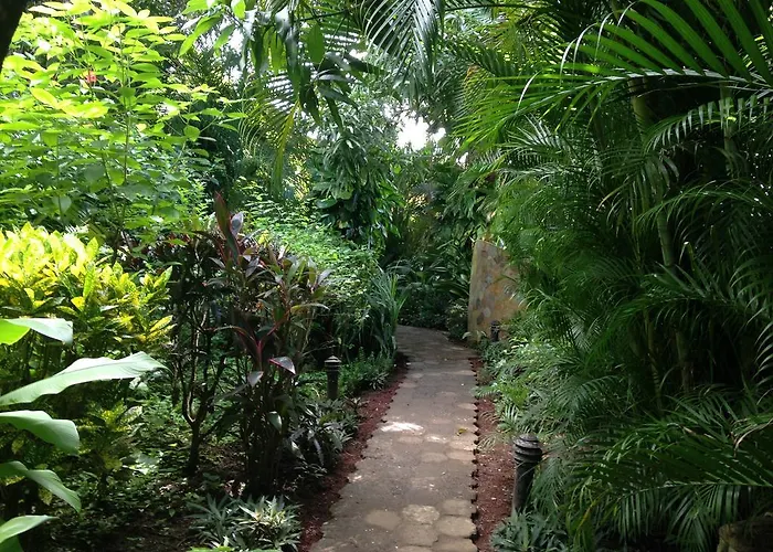 Mango Bed & Breakfast