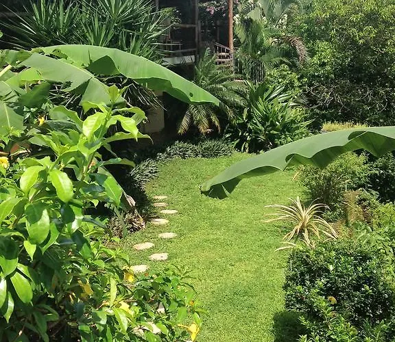Bed & Breakfast Mango Nosara